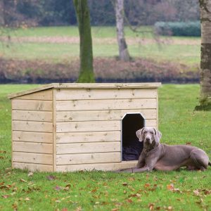 Hundehütte Teckel