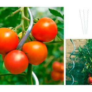 10er Set Tomatenspiralstab 10er Set Tomatenspiralstab