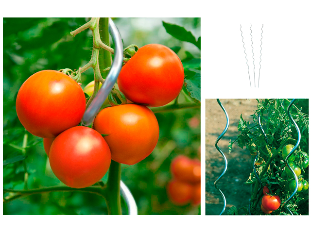 10er Set Tomatenspiralstab