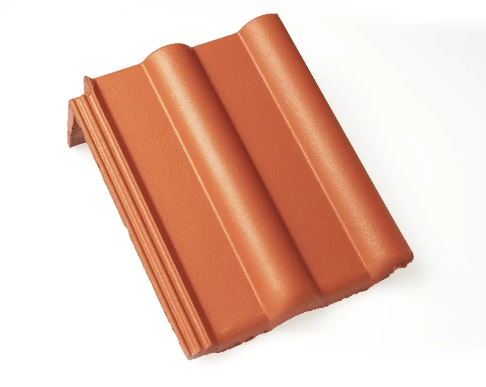 Braas Frankfurter Pfanne Pultstein mit langem Lappen Protegon matt
