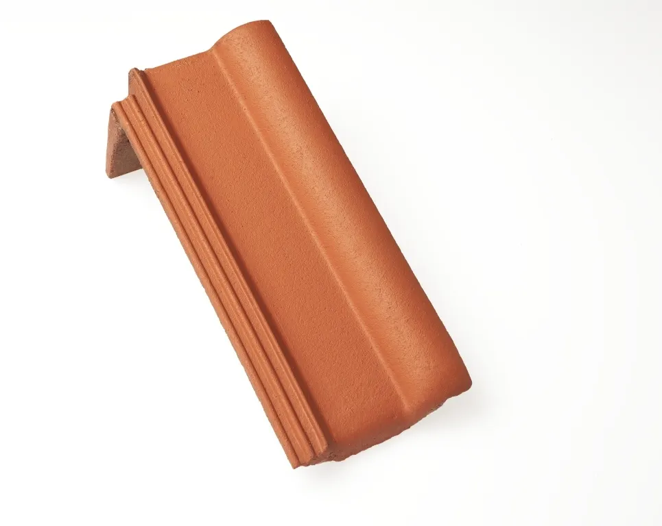 Braas Frankfurter Pfanne halber Pultstein mit langem Lappen Protegon seidenmatt