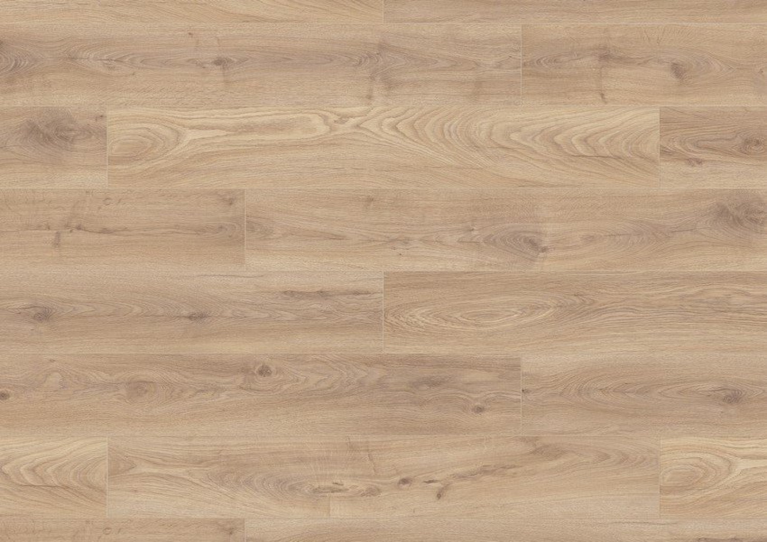 Klick-Laminatboden Eiche Biscotti