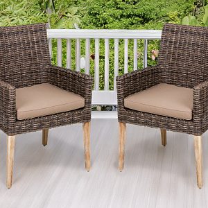 Armstuhl Norvell mit Auflage, 2er Set