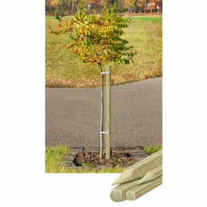 Pflanzpfahl 120 cm