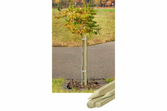 Pflanzpfahl 120 cm