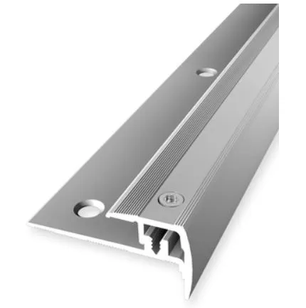 SGH Ambiente PF 325 V Treppenkantenprofil 100 cm