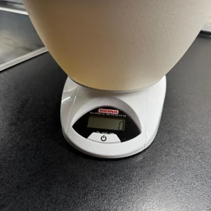 Söhnle Küchenwaage 65081