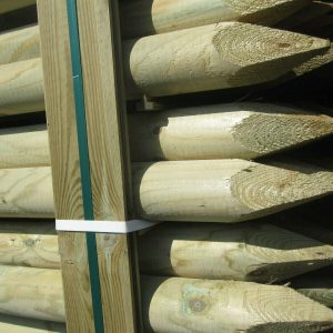 Baumpfahl mit Spitze