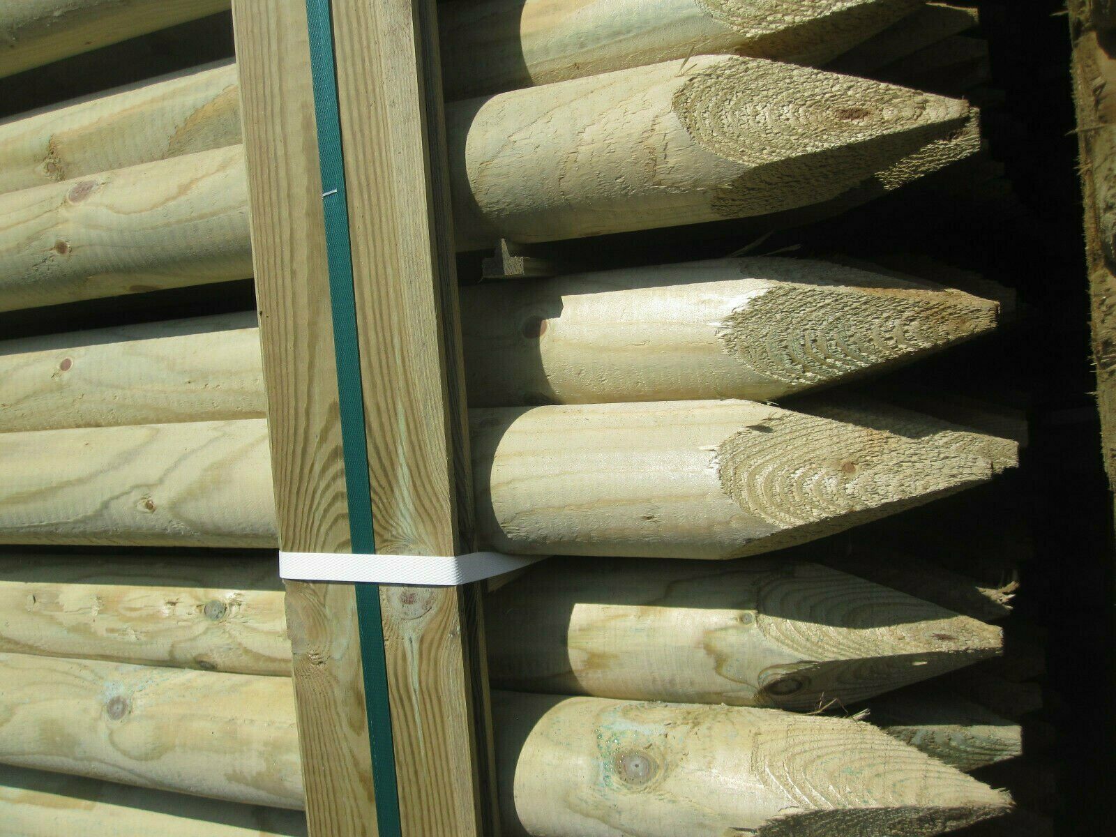 Baumpfahl mit Spitze