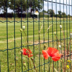 Komplettset VIVA  – Drahtgitter Gitterzaun Maschendraht Schweißgitter Gartenzaun