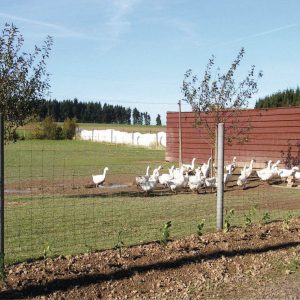 Wildzaun Komplettset inkl. Recyclingpfosten