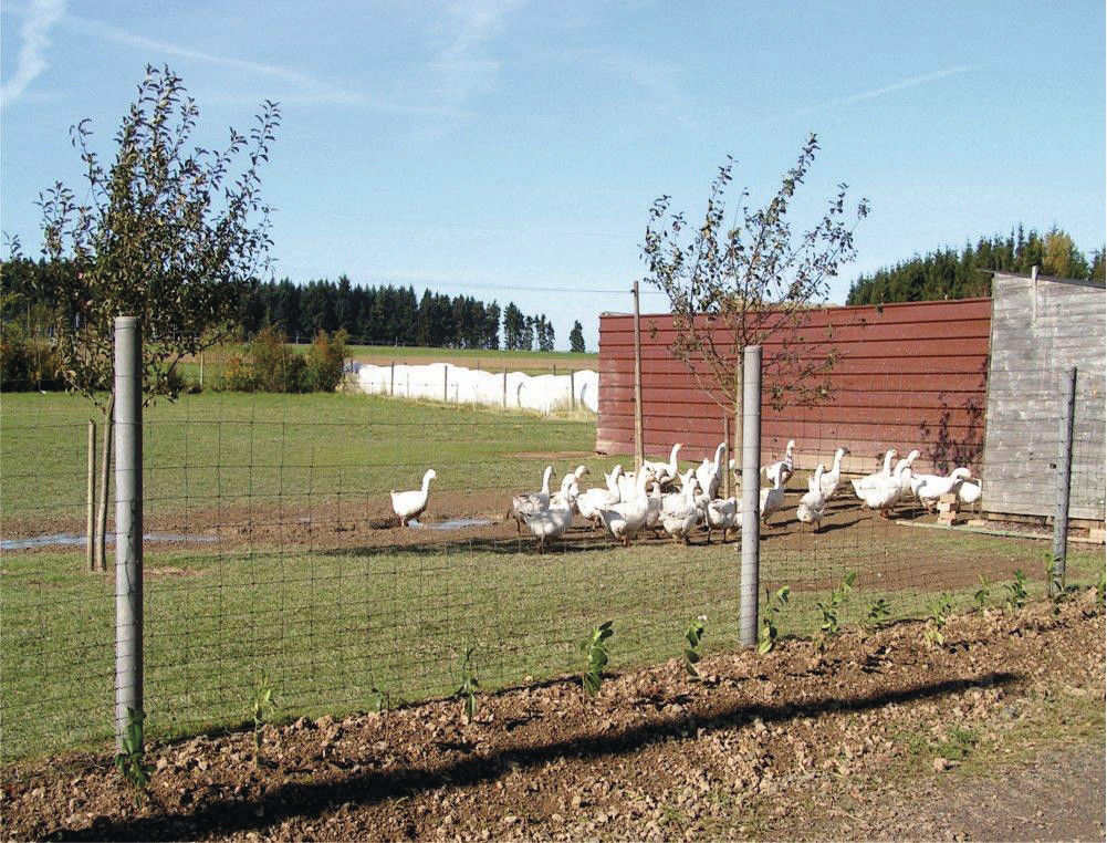 Wildzaun Komplettset inkl. Recyclingpfosten