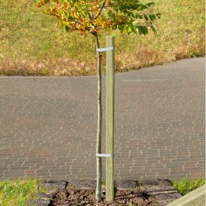 Pflanzpfahl 150 cm