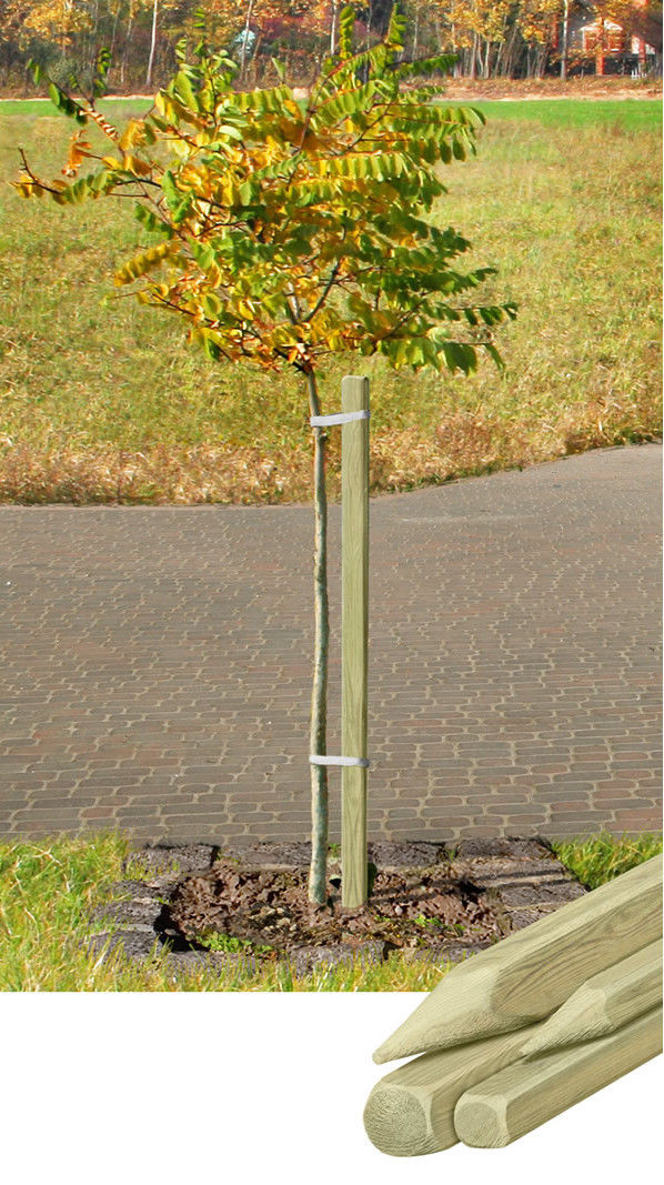 Pflanzpfahl 150 cm