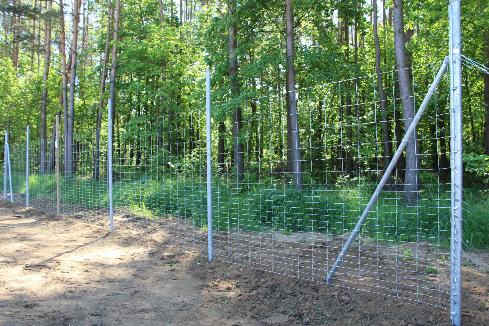 Wildzaun / Knotengeflecht / Wildgatter / Forstzaun